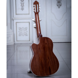 گیتار طرح خاص پاپ مدل B-19P