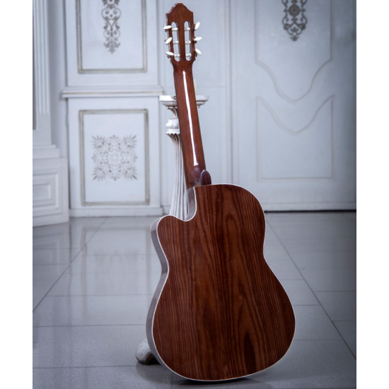 گیتار طرح خاص پاپ مدل B-19P