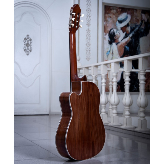 گیتار طرح خاص پاپ مدل B-19P