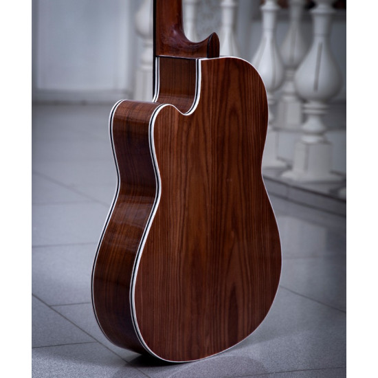 گیتار طرح خاص پاپ مدل B-19P