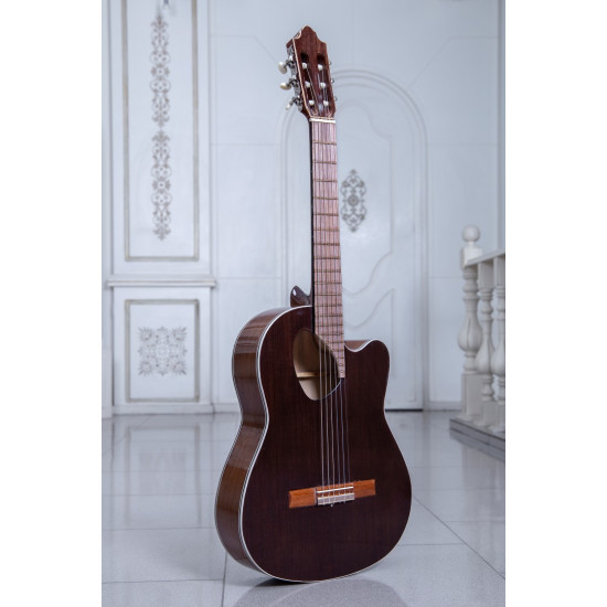 گیتار طرح خاص پاپ مدل B-19P