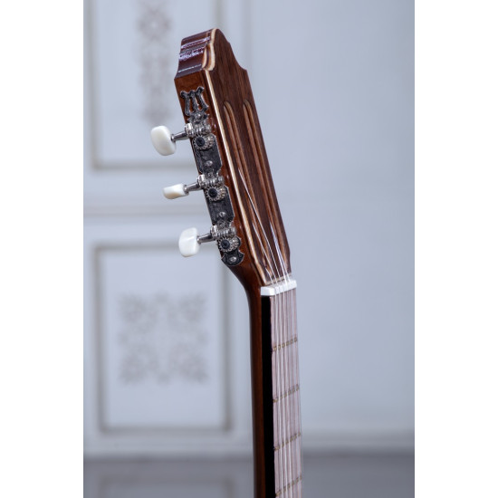 گیتار طرح خاص پاپ مدل B-19P