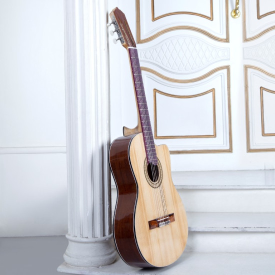 سفارش گیتار دست ساز اقتصادی 