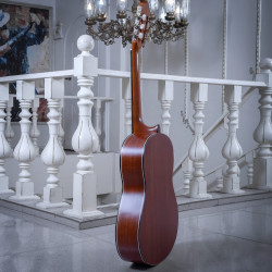 سفارش گیتار دست ساز اقتصادی 