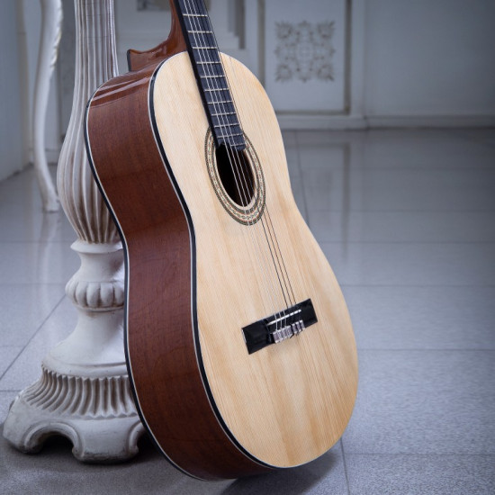 سفارش گیتار دست ساز اقتصادی 